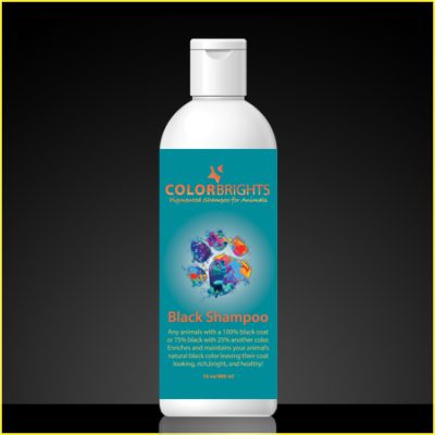 Black Shampoo